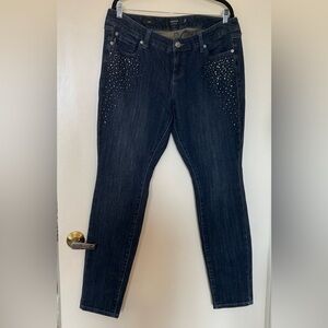 NWOT Torrid Premium Embellished Skinny Jeans in Size 12